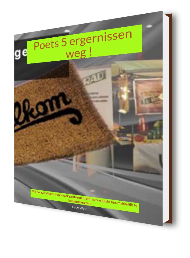 Ebook-Poets-5-ergernissen-weg